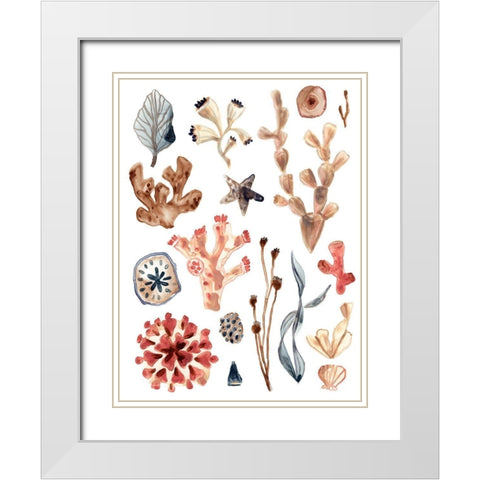Ocean Assortment II White Modern Wood Framed Art Print with Double Matting by Vess, June Erica