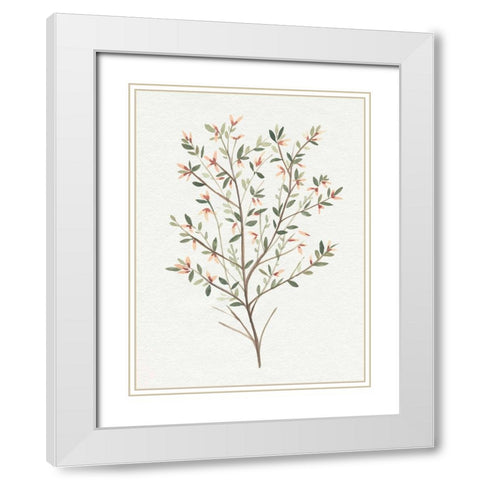 Single Sprig III White Modern Wood Framed Art Print with Double Matting by Warren, Annie
