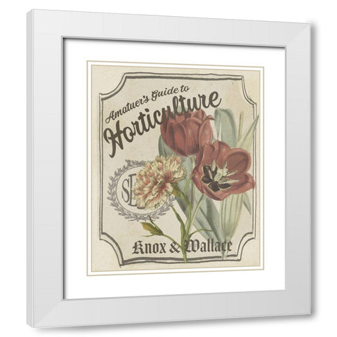 Vintage Seed Packets I White Modern Wood Framed Art Print with Double Matting by Studio W