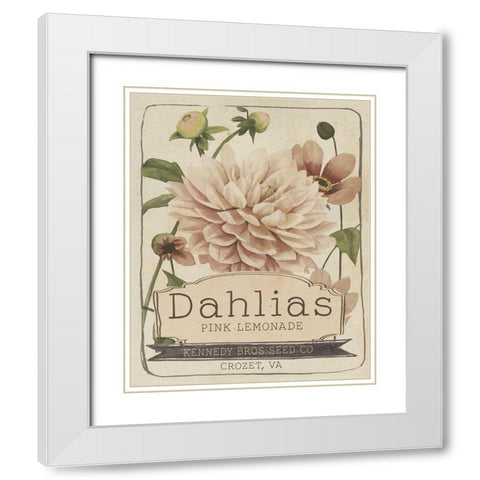 Vintage Seed Packets IV White Modern Wood Framed Art Print with Double Matting by Studio W