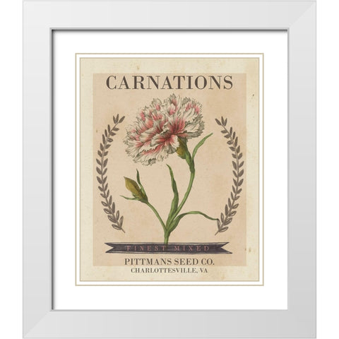Vintage Seed Packets V White Modern Wood Framed Art Print with Double Matting by Studio W