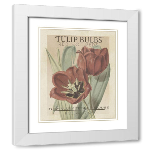 Vintage Seed Packets VI White Modern Wood Framed Art Print with Double Matting by Studio W