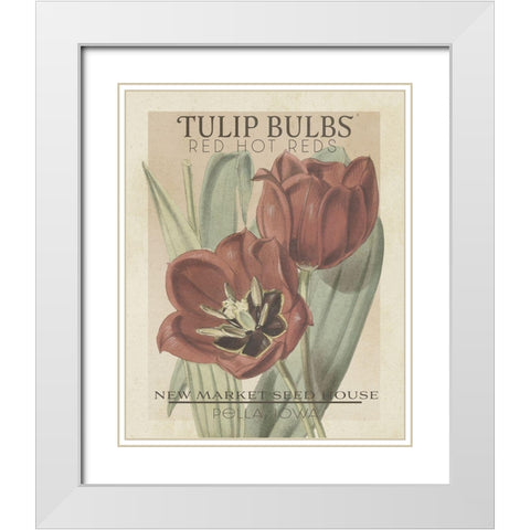 Vintage Seed Packets VI White Modern Wood Framed Art Print with Double Matting by Studio W