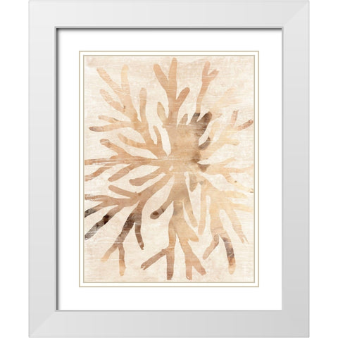 Parchment Coral II White Modern Wood Framed Art Print with Double Matting by Vess, June Erica