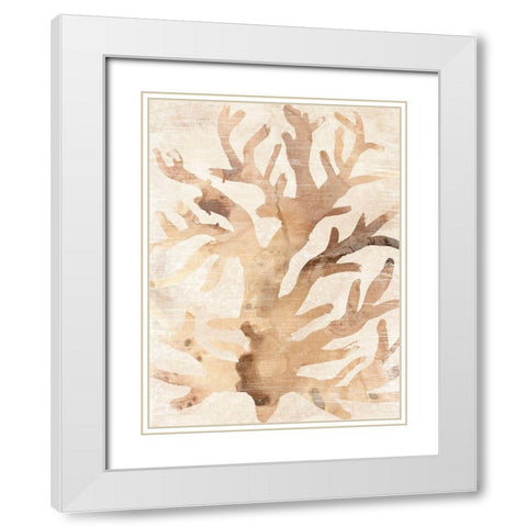 Parchment Coral III White Modern Wood Framed Art Print with Double Matting by Vess, June Erica