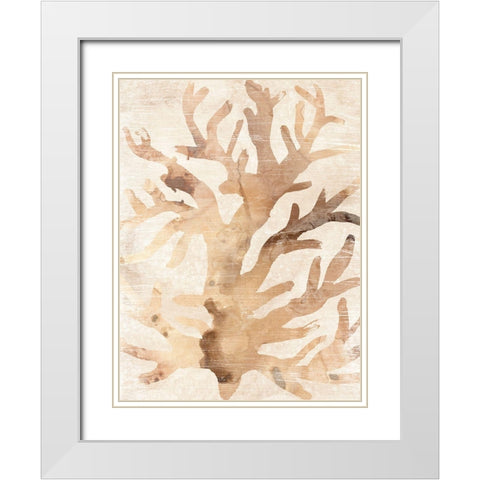 Parchment Coral III White Modern Wood Framed Art Print with Double Matting by Vess, June Erica