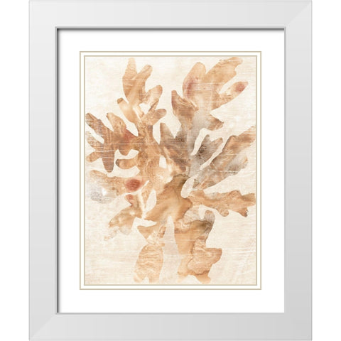Parchment Coral IV White Modern Wood Framed Art Print with Double Matting by Vess, June Erica