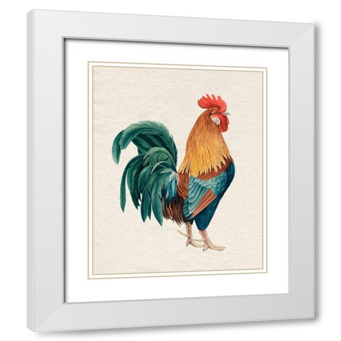 Watercolor Rooster I White Modern Wood Framed Art Print with Double Matting by Popp, Grace