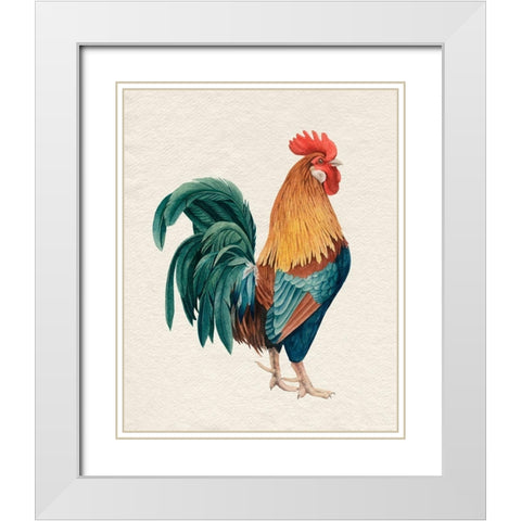 Watercolor Rooster I White Modern Wood Framed Art Print with Double Matting by Popp, Grace