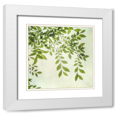 Summer Light I White Modern Wood Framed Art Print with Double Matting by Poinski, Dianne