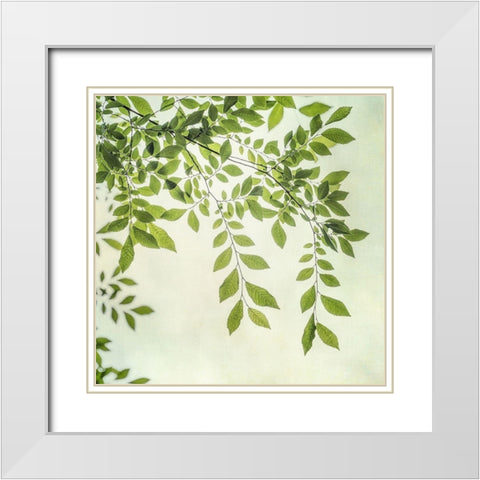 Summer Light I White Modern Wood Framed Art Print with Double Matting by Poinski, Dianne