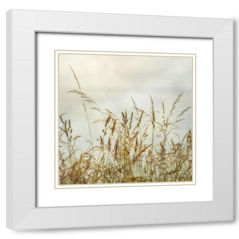 Bluff Grass I White Modern Wood Framed Art Print with Double Matting by Poinski, Dianne