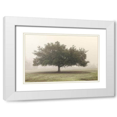 Trees in the Fog II White Modern Wood Framed Art Print with Double Matting by Poinski, Dianne