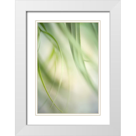 Harmonic I White Modern Wood Framed Art Print with Double Matting by Poinski, Dianne