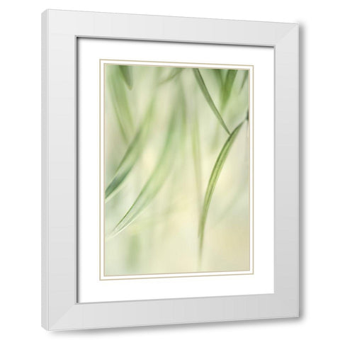 Harmonic II White Modern Wood Framed Art Print with Double Matting by Poinski, Dianne