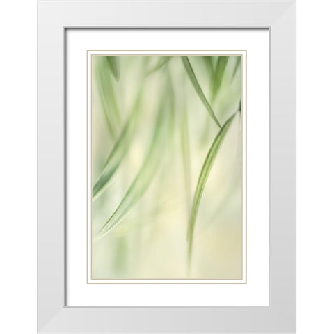 Harmonic II White Modern Wood Framed Art Print with Double Matting by Poinski, Dianne