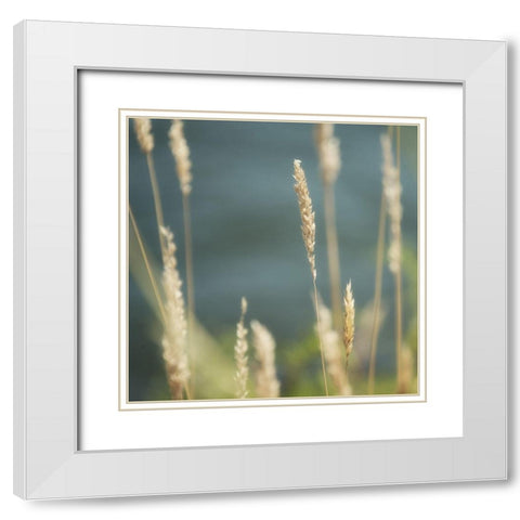 Northwest Morning I White Modern Wood Framed Art Print with Double Matting by Poinski, Dianne