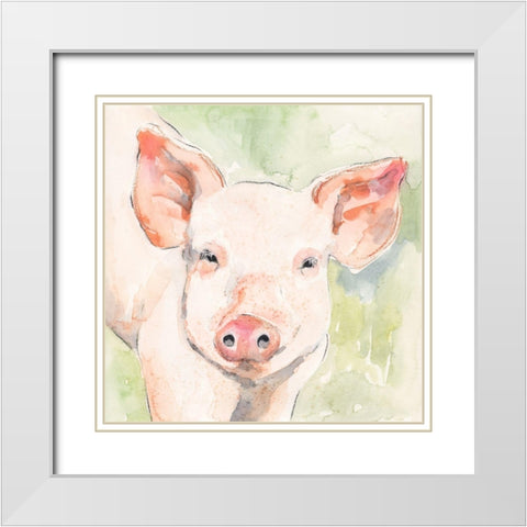 Sunny the Pig I White Modern Wood Framed Art Print with Double Matting by Barnes, Victoria