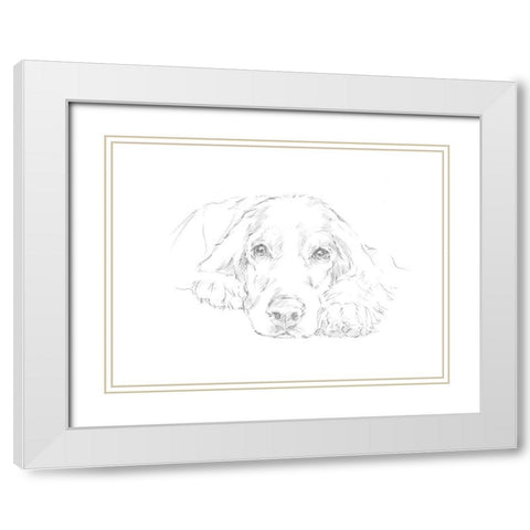 Lazy Dog II White Modern Wood Framed Art Print with Double Matting by Harper, Ethan
