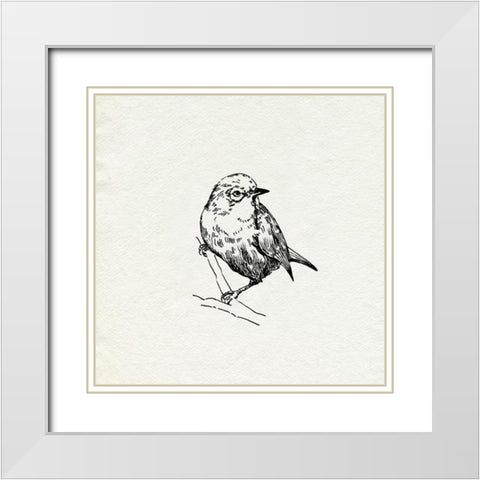 Bird Feeder Friends III White Modern Wood Framed Art Print with Double Matting by Caroline, Emma