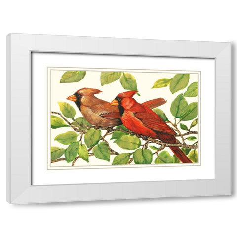 Cardinals White Modern Wood Framed Art Print with Double Matting by OToole, Tim