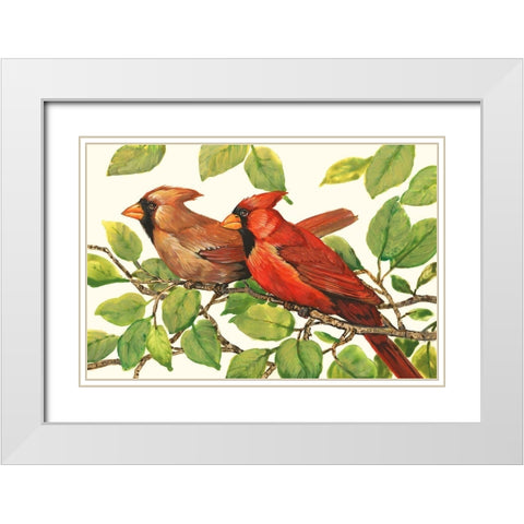 Cardinals White Modern Wood Framed Art Print with Double Matting by OToole, Tim