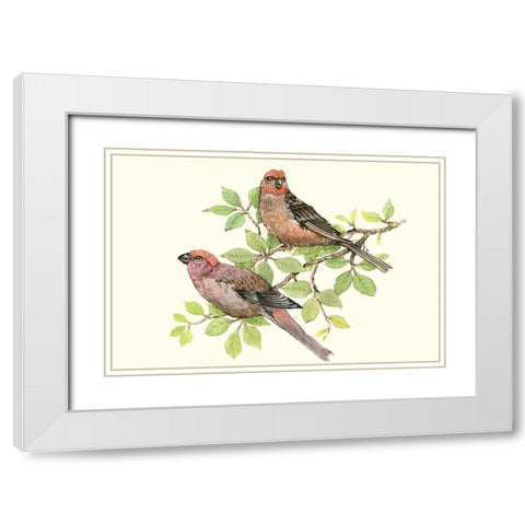 Song Birds II White Modern Wood Framed Art Print with Double Matting by OToole, Tim