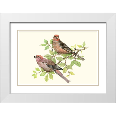 Song Birds II White Modern Wood Framed Art Print with Double Matting by OToole, Tim