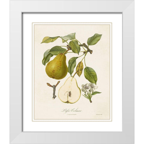 Vintage Pears II White Modern Wood Framed Art Print with Double Matting by de Langlois