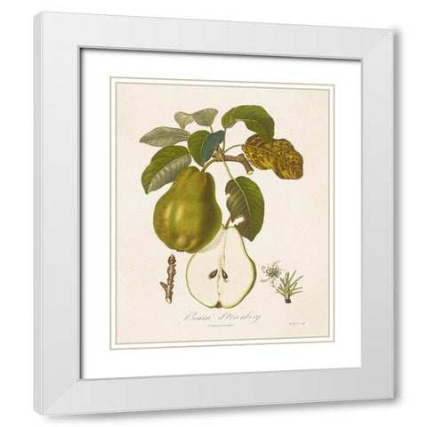 Vintage Pears IV White Modern Wood Framed Art Print with Double Matting by de Langlois