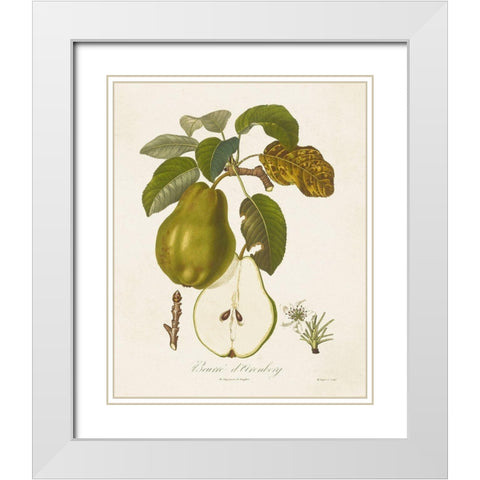 Vintage Pears IV White Modern Wood Framed Art Print with Double Matting by de Langlois