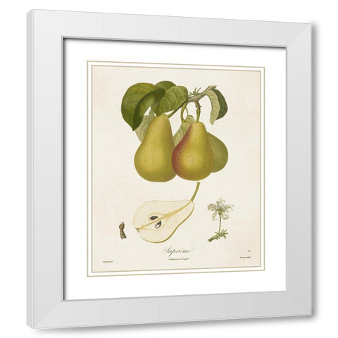 Vintage Pears V White Modern Wood Framed Art Print with Double Matting by de Langlois