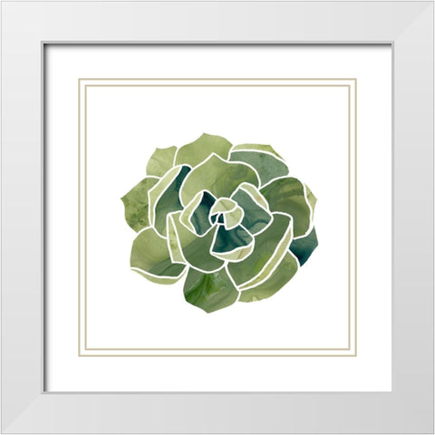 Succulent Cameo III White Modern Wood Framed Art Print with Double Matting by Vess, June Erica