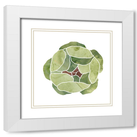 Succulent Cameo VIII White Modern Wood Framed Art Print with Double Matting by Vess, June Erica