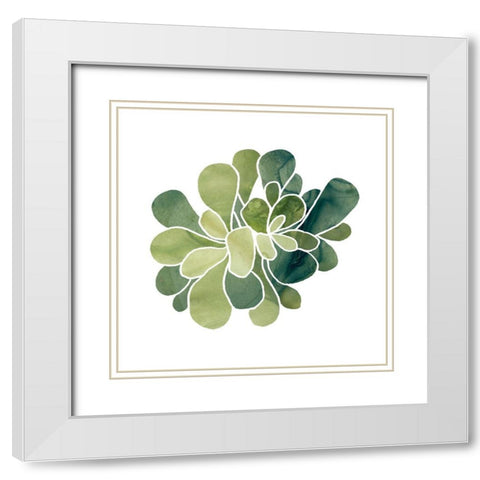 Succulent Cameo IX White Modern Wood Framed Art Print with Double Matting by Vess, June Erica