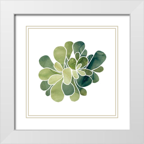 Succulent Cameo IX White Modern Wood Framed Art Print with Double Matting by Vess, June Erica