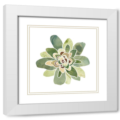 Succulent Cameo XI White Modern Wood Framed Art Print with Double Matting by Vess, June Erica