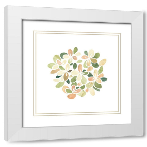 Succulent Cameo XIII White Modern Wood Framed Art Print with Double Matting by Vess, June Erica