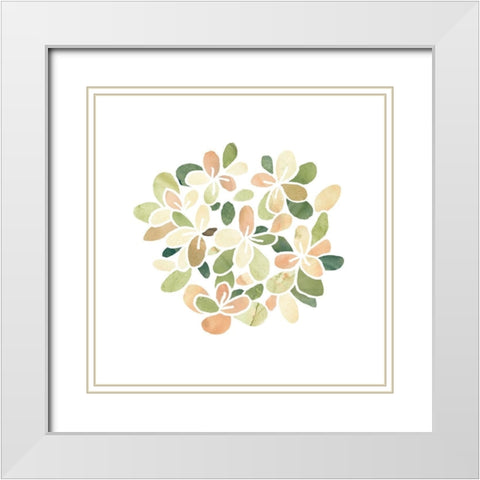 Succulent Cameo XIII White Modern Wood Framed Art Print with Double Matting by Vess, June Erica