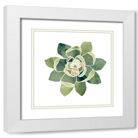 Succulent Cameo XIV White Modern Wood Framed Art Print with Double Matting by Vess, June Erica