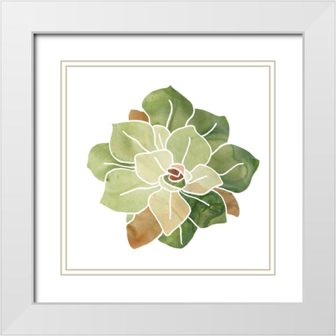 Succulent Cameo XVI White Modern Wood Framed Art Print with Double Matting by Vess, June Erica