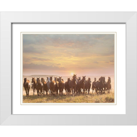 Horse Motion I White Modern Wood Framed Art Print with Double Matting by PHBurchett