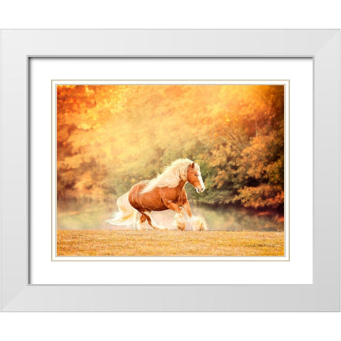 Horse Motion II White Modern Wood Framed Art Print with Double Matting by PHBurchett