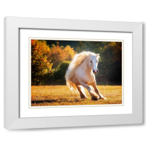 Horse Motion IV White Modern Wood Framed Art Print with Double Matting by PHBurchett