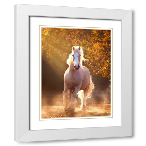 Horse Motion VIII White Modern Wood Framed Art Print with Double Matting by PHBurchett