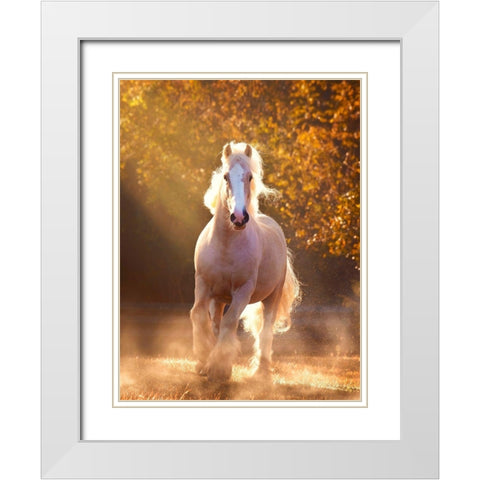 Horse Motion VIII White Modern Wood Framed Art Print with Double Matting by PHBurchett