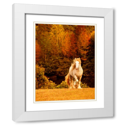 Horse Motion IX White Modern Wood Framed Art Print with Double Matting by PHBurchett