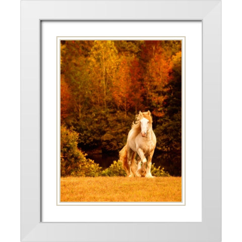Horse Motion IX White Modern Wood Framed Art Print with Double Matting by PHBurchett