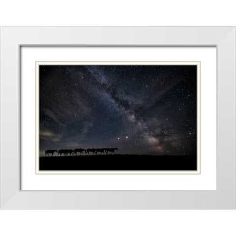 View At Rest I White Modern Wood Framed Art Print with Double Matting by PHBurchett