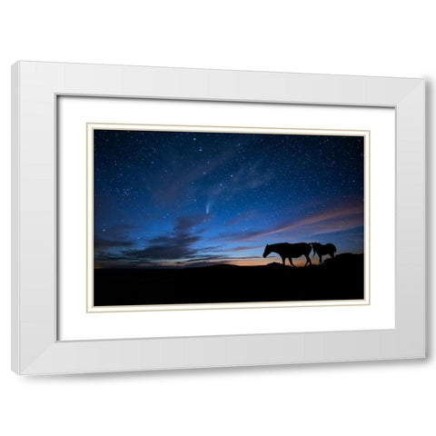 View At Rest II White Modern Wood Framed Art Print with Double Matting by PHBurchett